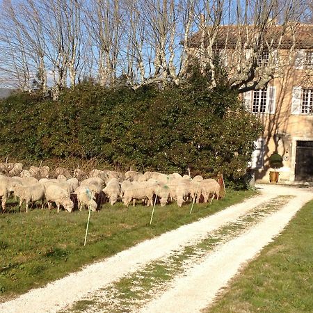 B&B Domaine Le Clos Du Pavillon Brignoles Exterior photo