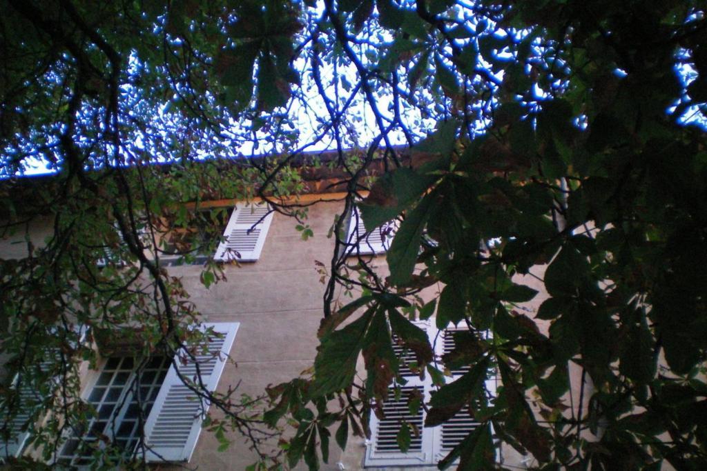 B&B Domaine Le Clos Du Pavillon Brignoles Exterior photo